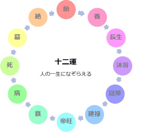 日柱沐浴|四柱推命｜十二運の「沐浴(もくよく)」とは？性格・ 